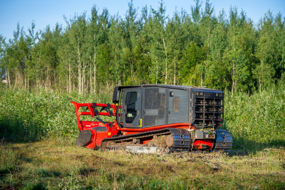 lithuania, ,august,6,,2019:,prinoth,raptor,300,forest,mulcher,