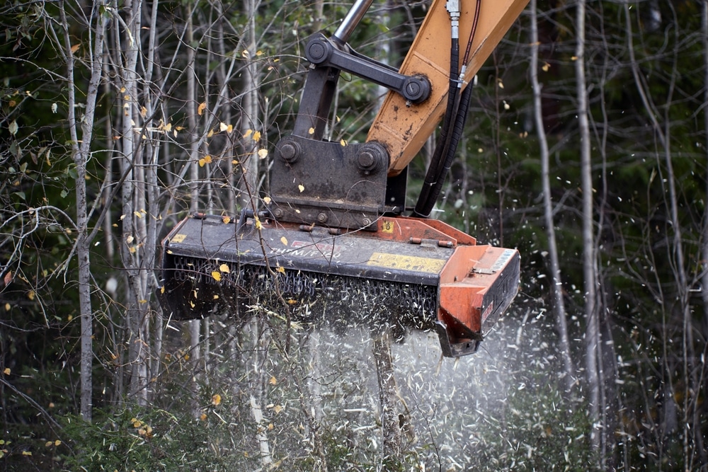 lemozero,,olonets,,karelia,,russia, ,october,10,,2022:,mulching,head