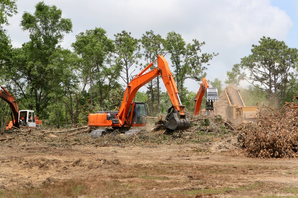 backhoes,operate,clearing,trees,and,brush,from,a,construction,site.