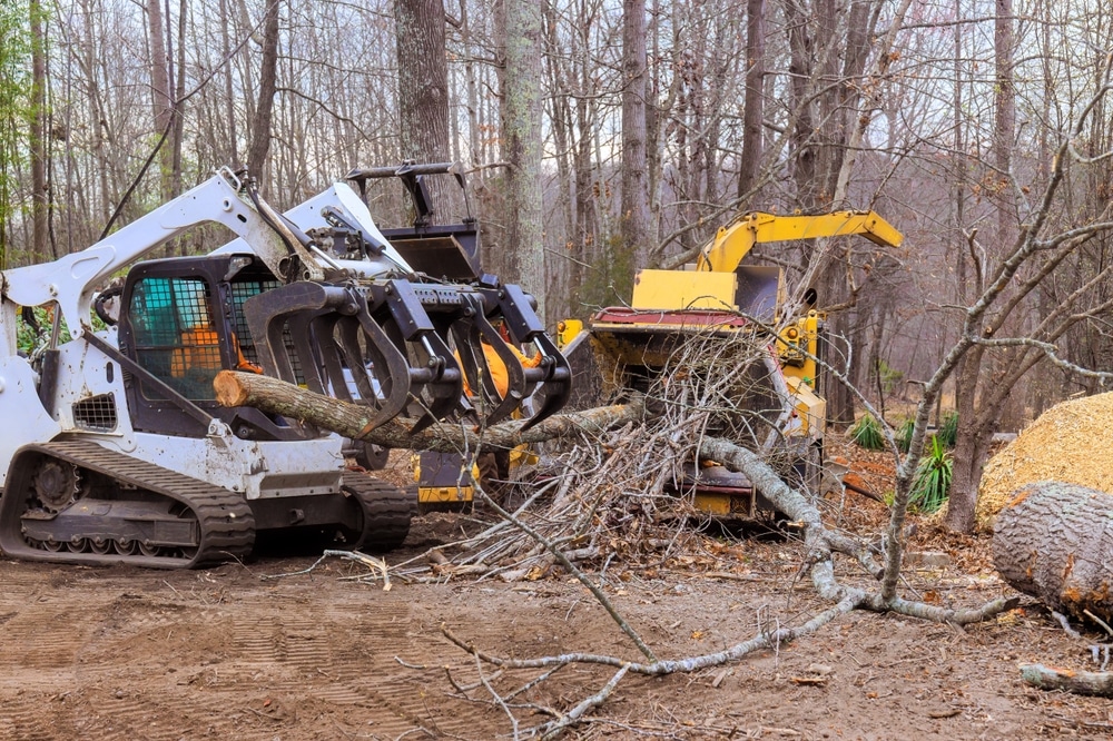 skid,steer,loader,machinery,clears,fallen,branches,in,forest,,creating