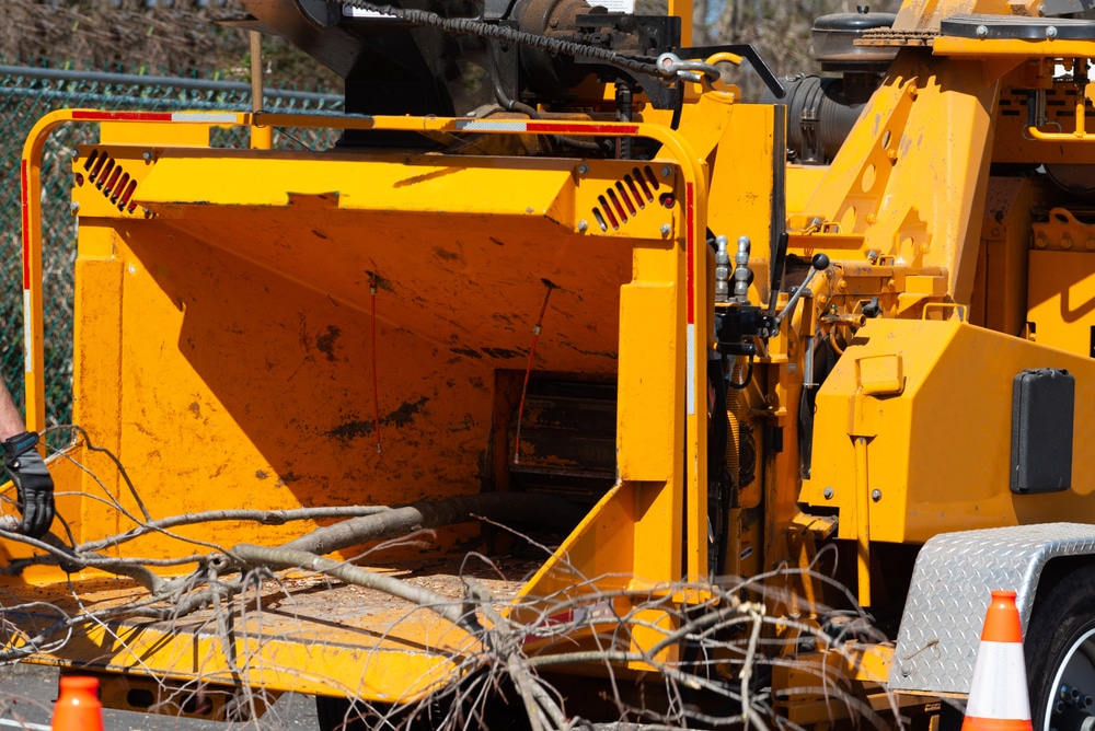wood,chipper,machine,releasing,the,shredded,woods,into,a,truck