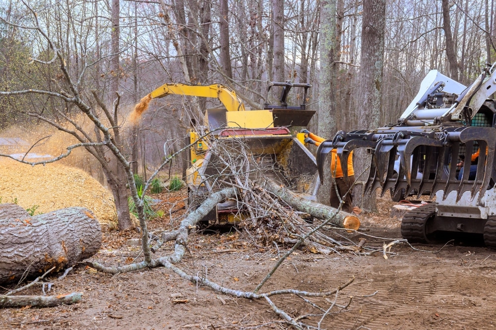 heavy,machinery,operates,to,clear,fallen,branches,trees,in,forested