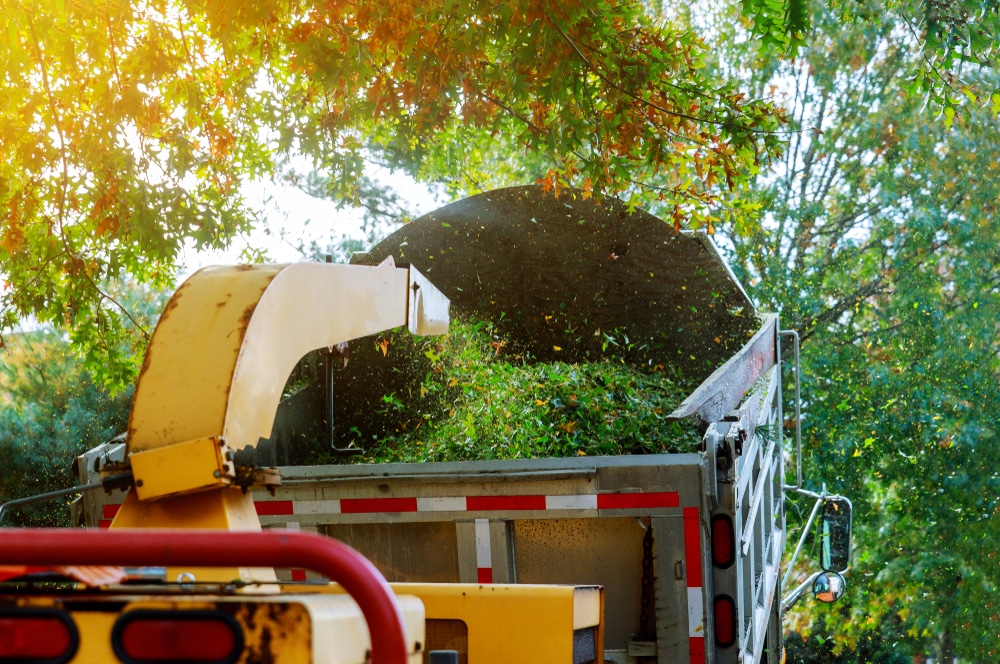 landscapers,using,wood,chipper,in,chipper,mulcher,chips,into,the